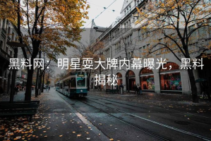 黑料网：明星耍大牌内幕曝光，黑料揭秘