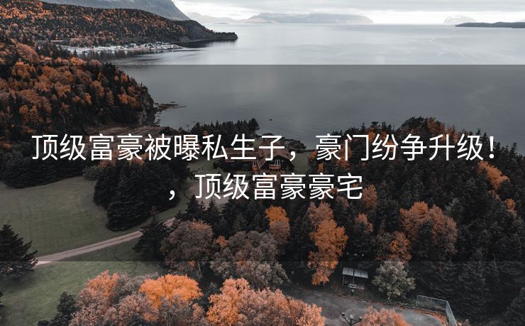顶级富豪被曝私生子，豪门纷争升级！，顶级富豪豪宅