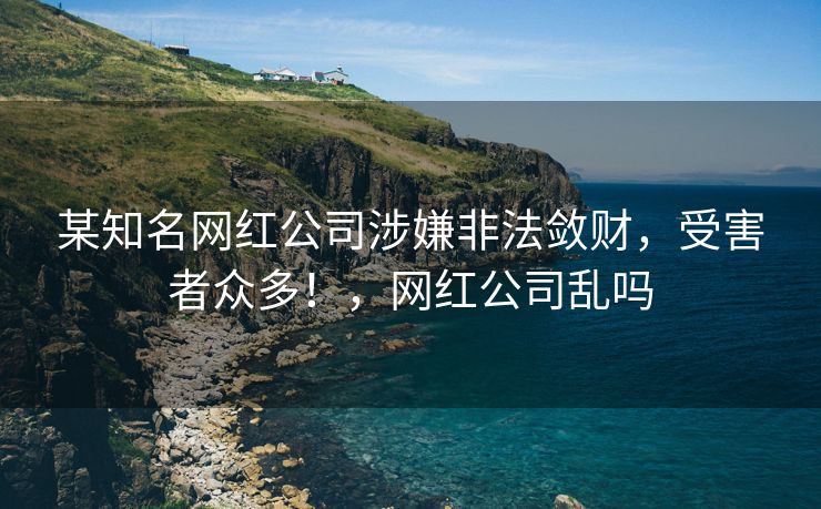 某知名网红公司涉嫌非法敛财，受害者众多！，网红公司乱吗