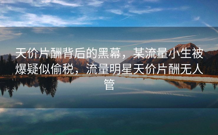 天价片酬背后的黑幕，某流量小生被爆疑似偷税，流量明星天价片酬无人管