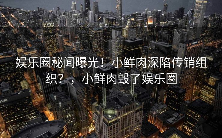 娱乐圈秘闻曝光！小鲜肉深陷传销组织？，小鲜肉毁了娱乐圈