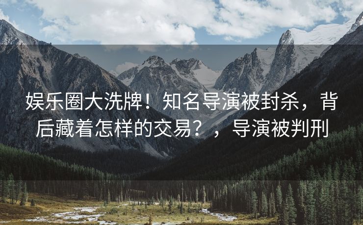 娱乐圈大洗牌！知名导演被封杀，背后藏着怎样的交易？，导演被判刑