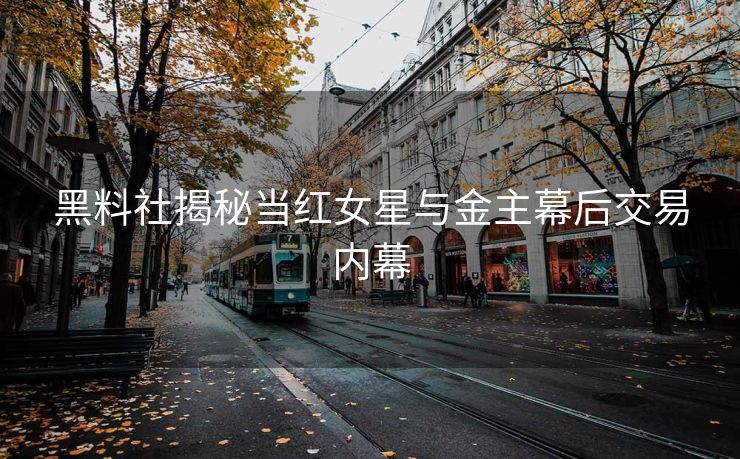 黑料社揭秘当红女星与金主幕后交易内幕