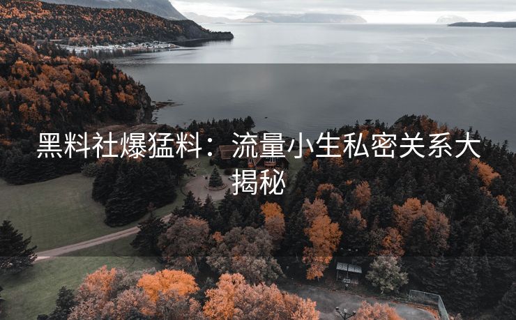 黑料社爆猛料：流量小生私密关系大揭秘