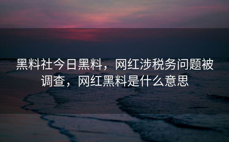 黑料社今日黑料，网红涉税务问题被调查，网红黑料是什么意思