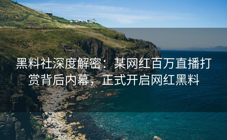 黑料社深度解密：某网红百万直播打赏背后内幕，正式开启网红黑料