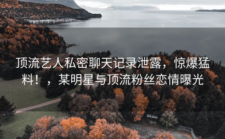 顶流艺人私密聊天记录泄露，惊爆猛料！，某明星与顶流粉丝恋情曝光