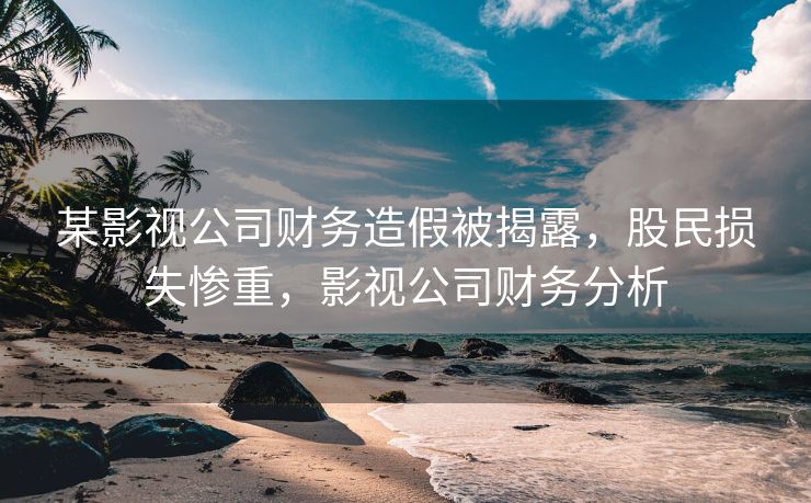 某影视公司财务造假被揭露，股民损失惨重，影视公司财务分析