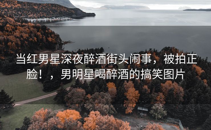 当红男星深夜醉酒街头闹事，被拍正脸！，男明星喝醉酒的搞笑图片